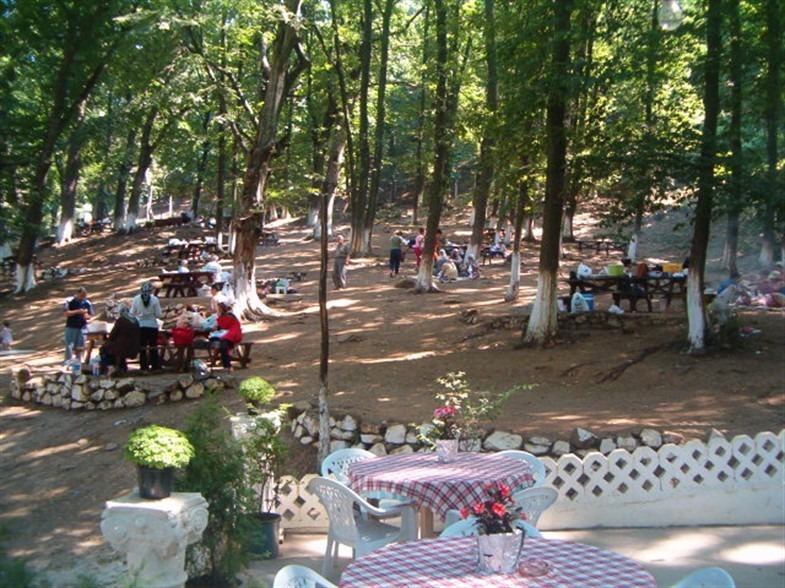 Haberane- piknik ve mesire alanları
